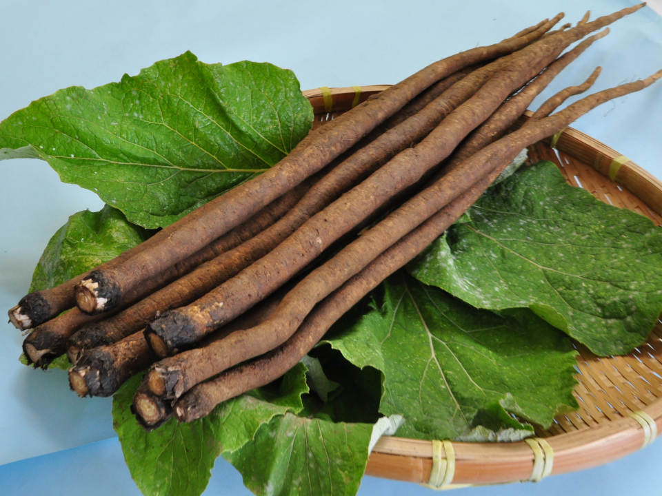 登録産品の画像