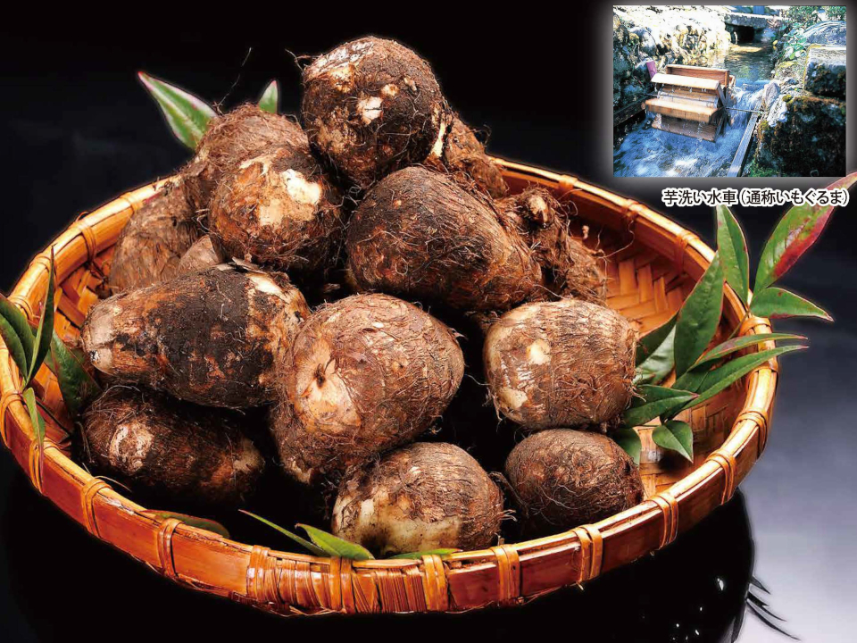 登録産品の画像