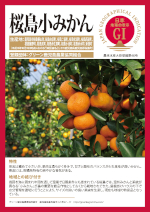 登録産品パネルのサムネイル