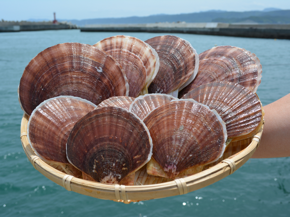 登録産品の画像