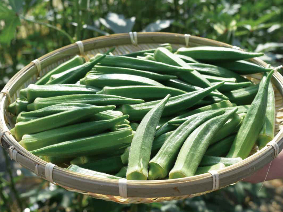 登録産品の画像