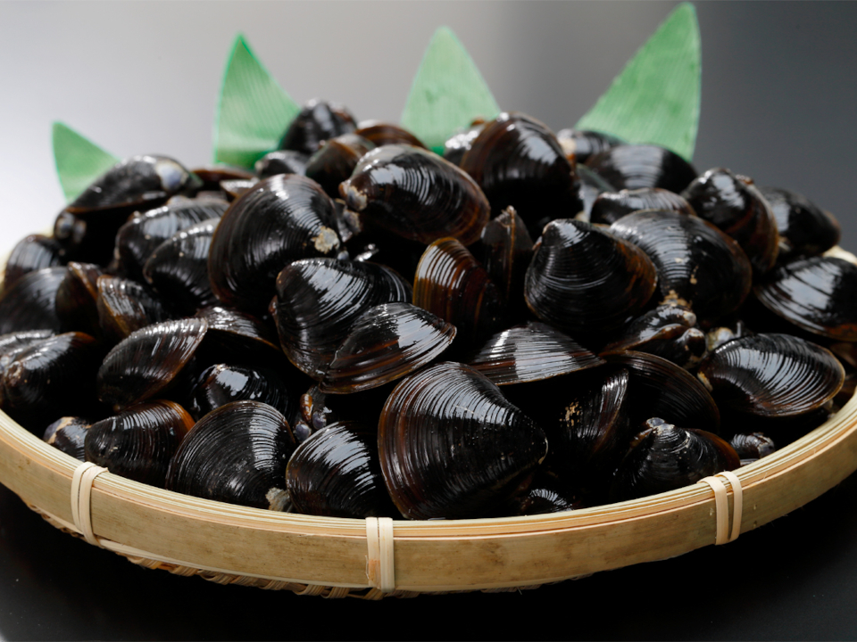 登録産品の画像