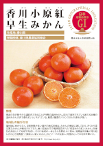 登録産品のパネルサムのネイル