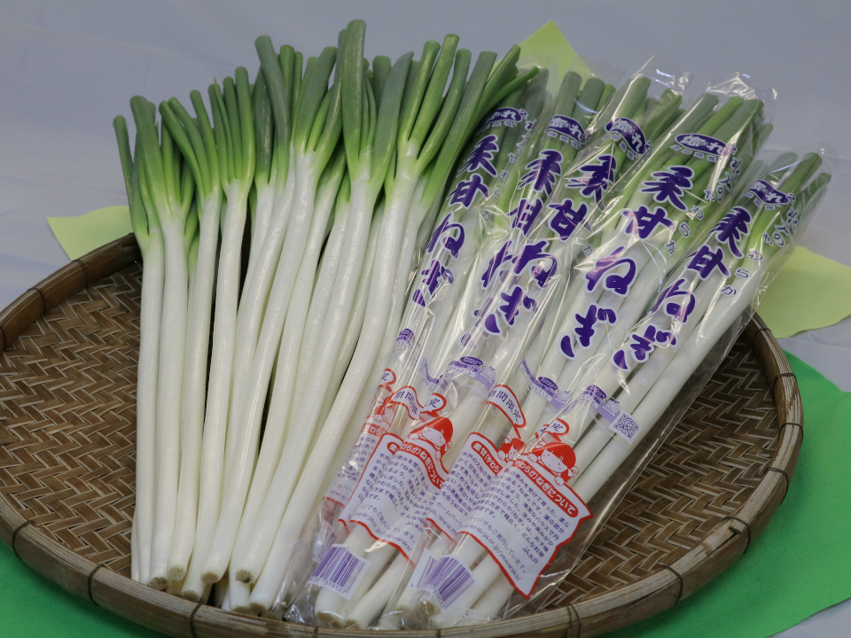 登録産品の画像