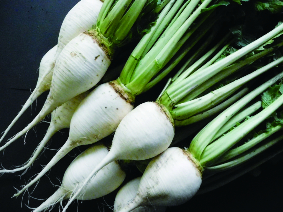 登録産品の画像