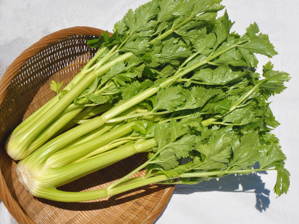 登録産品の画像