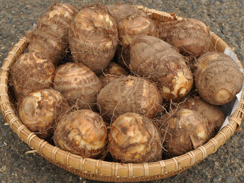 登録産品の画像