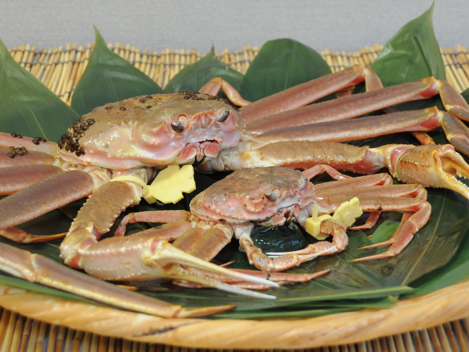 登録産品の画像