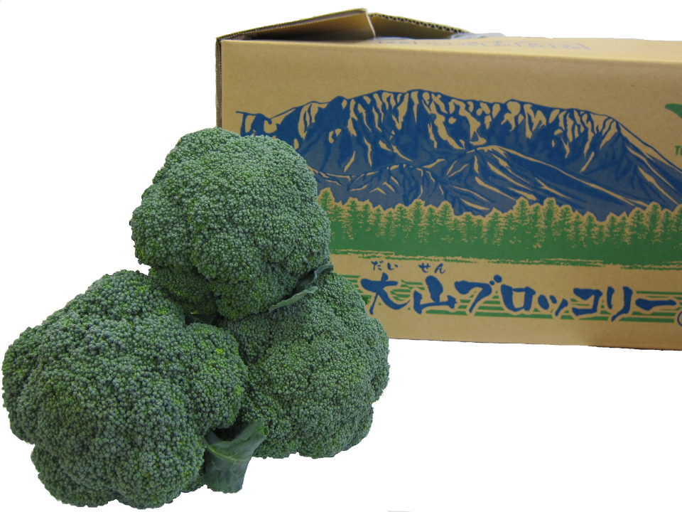 登録産品の画像