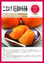 登録産品のパネルサムのネイル