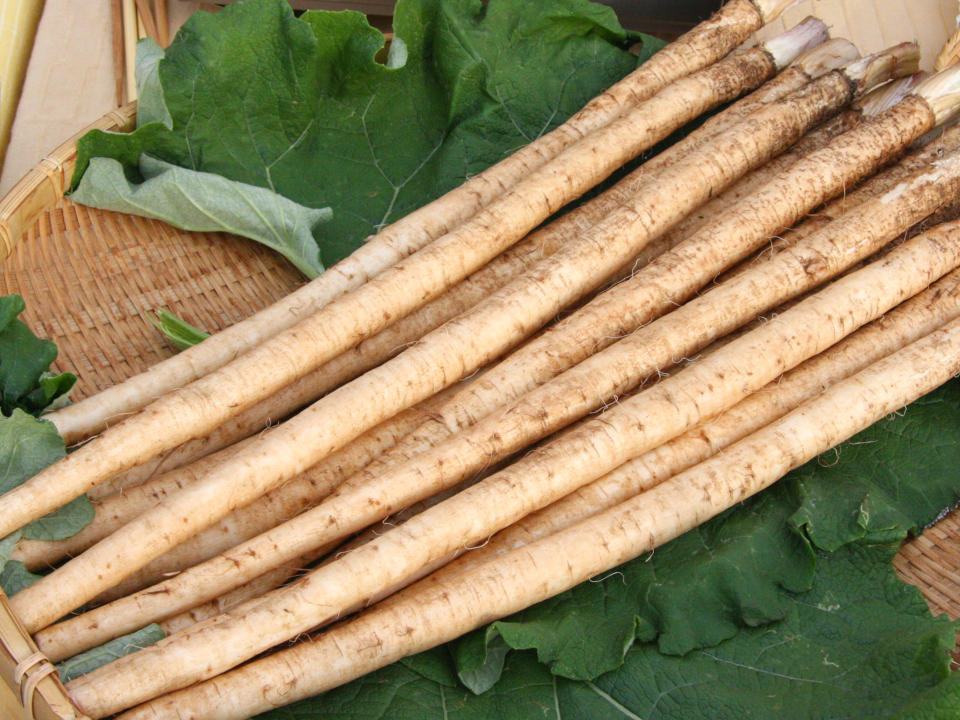 登録産品の画像