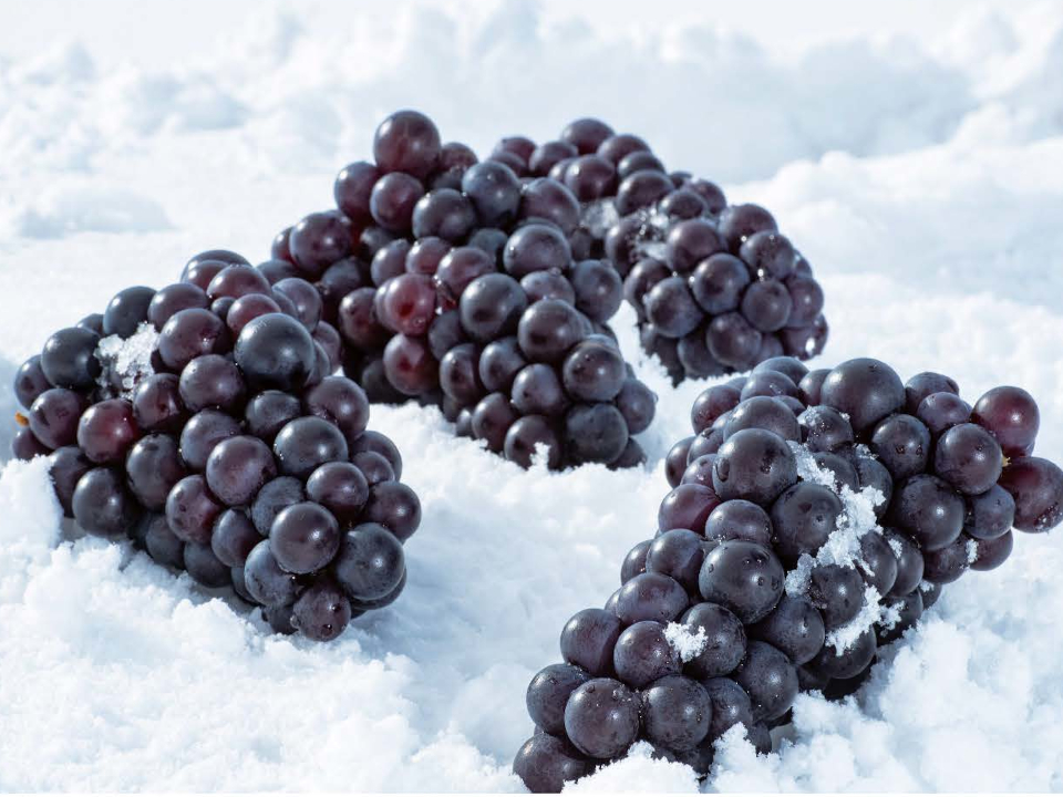 登録産品の画像