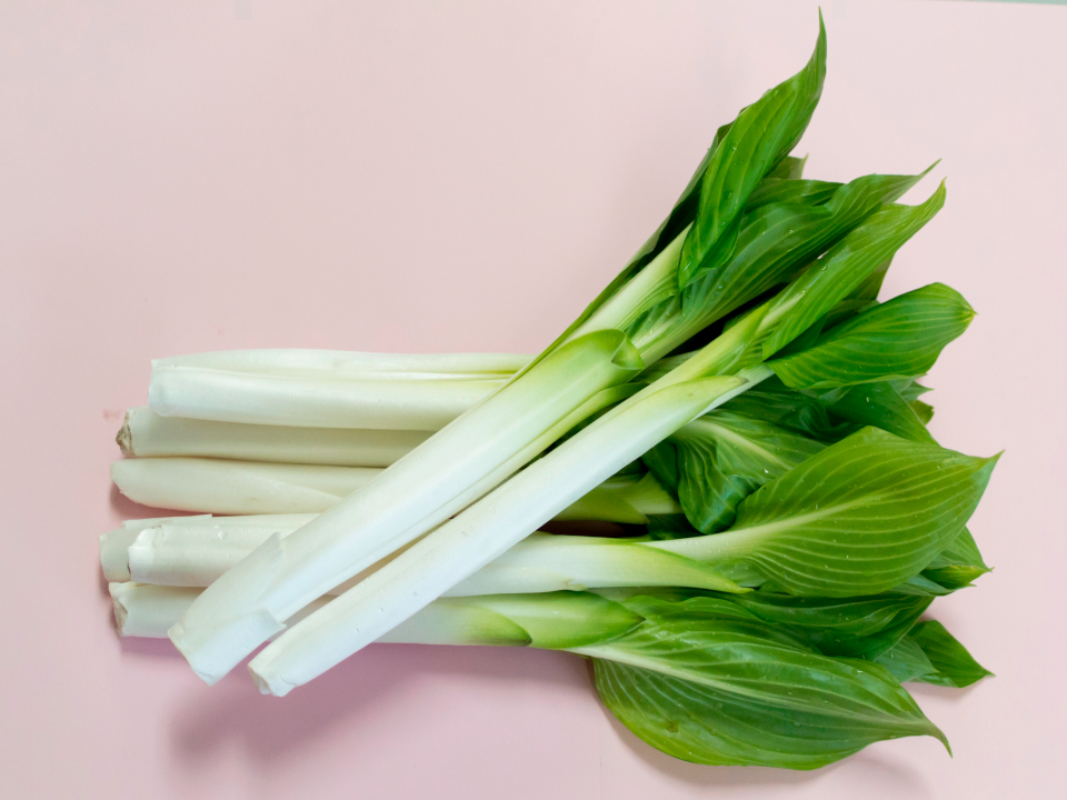 登録産品の画像