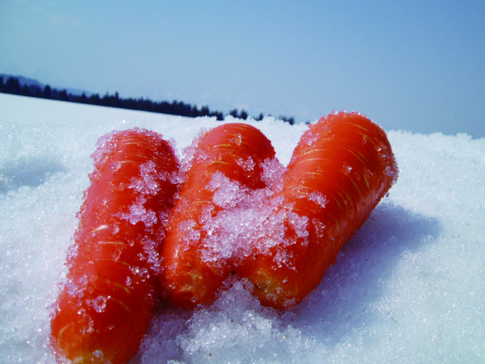 登録産品の画像