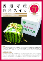 登録産品のパネルサムのネイル