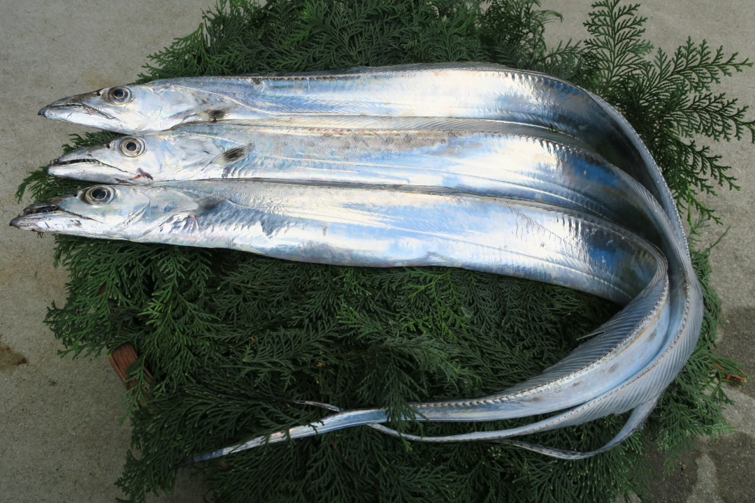 登録産品の画像