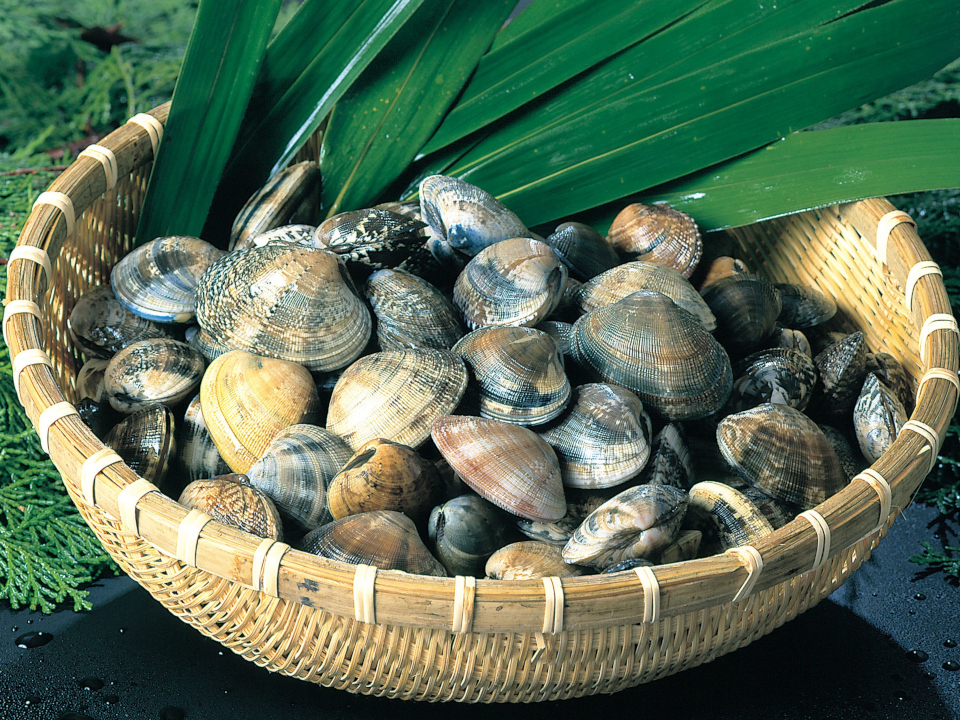 登録産品の画像