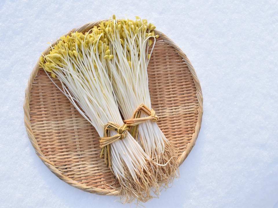 登録産品の画像