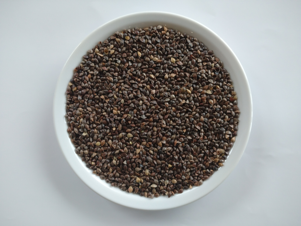 登録産品の画像