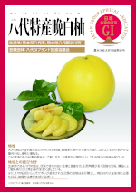 登録産品パネルのサムネイル