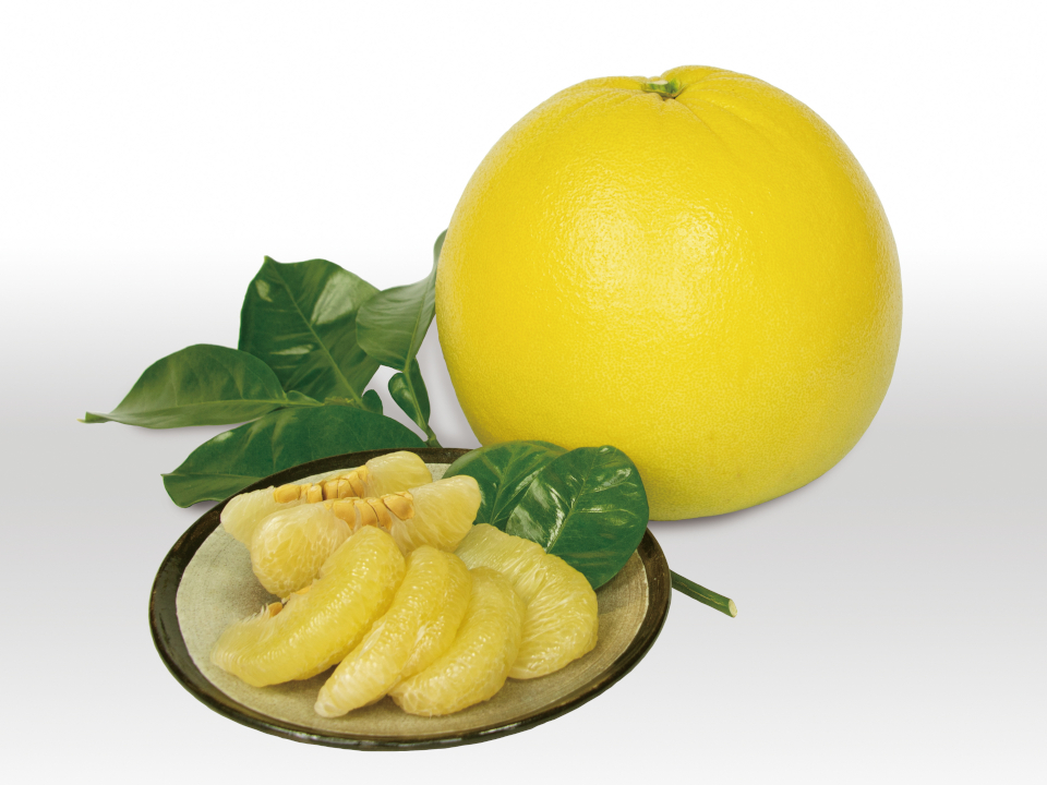 登録産品の画像