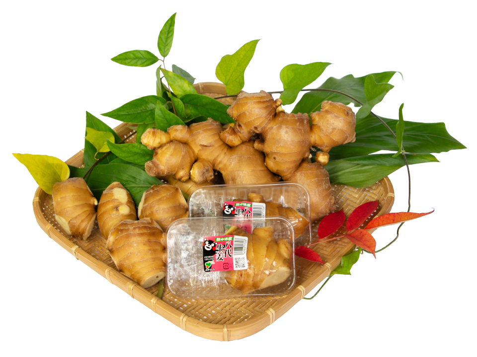 登録産品の画像