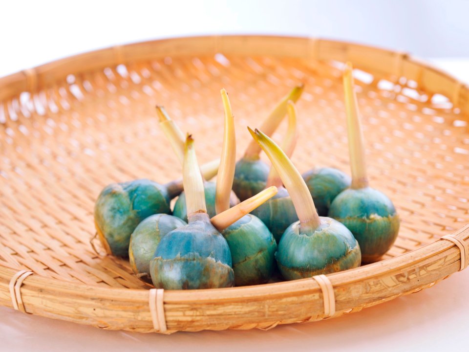 登録産品の画像