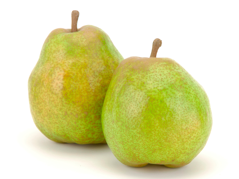 登録産品の画像