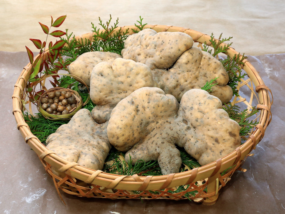 登録産品の画像