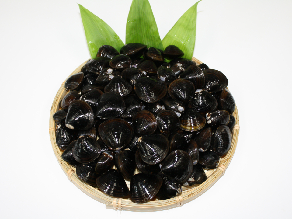 登録産品の画像