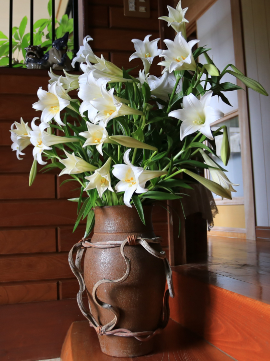 登録産品の画像