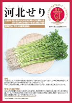 登録産品のパネルサムのネイル