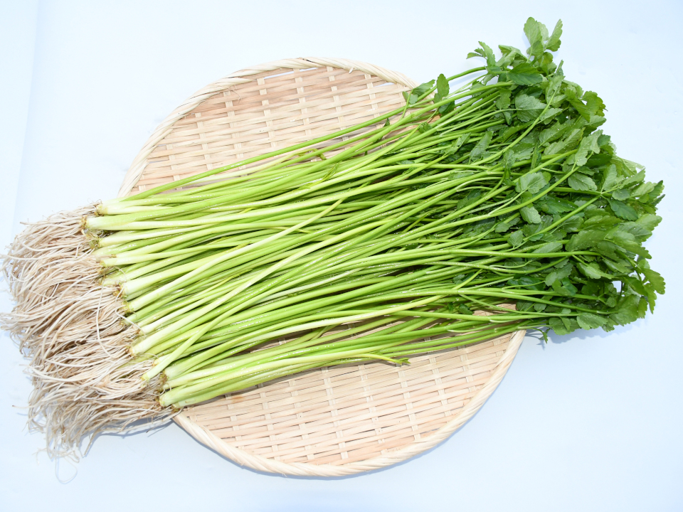 登録産品の画像