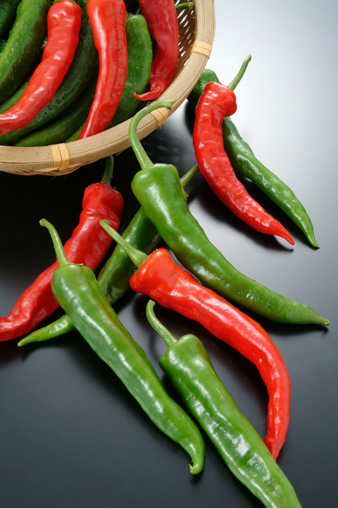 登録産品の画像