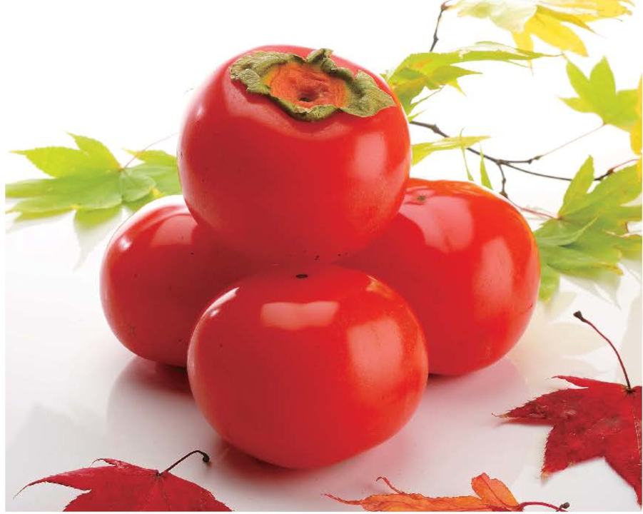 登録産品の画像