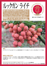 登録産品のパネルサムのネイル