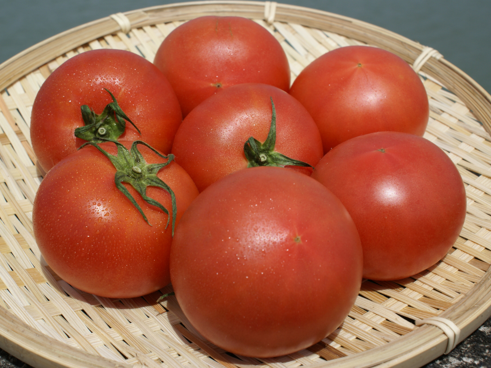 登録産品の画像