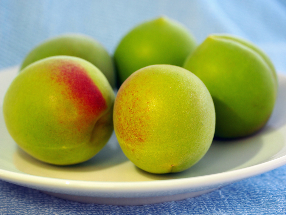 登録産品の画像