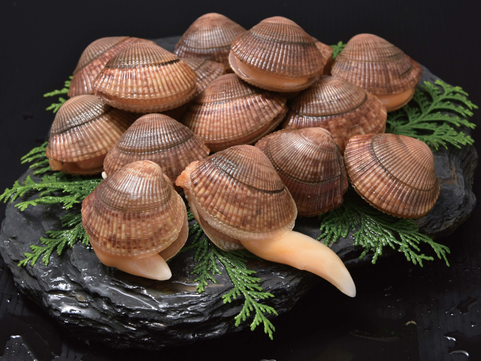 登録産品の画像