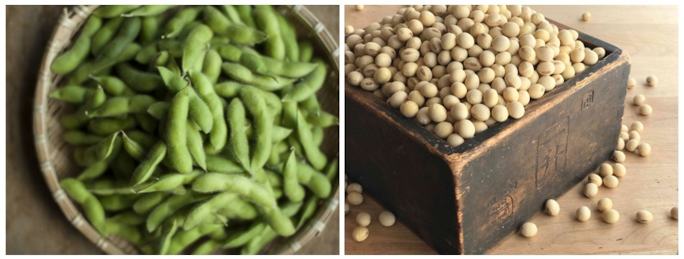 登録産品の画像