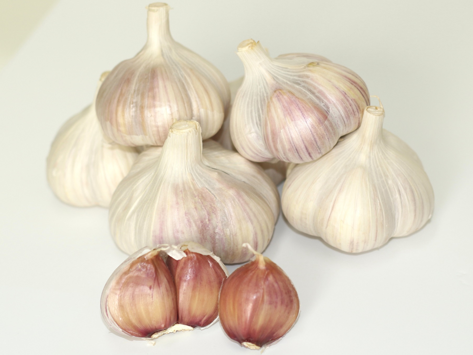 登録産品の画像