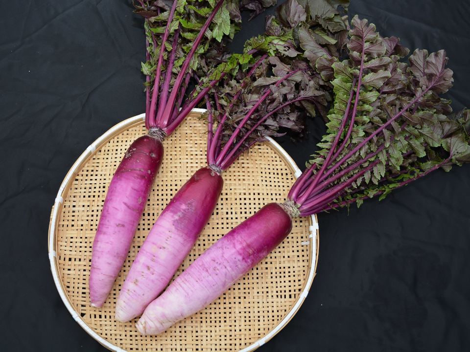 登録産品の画像