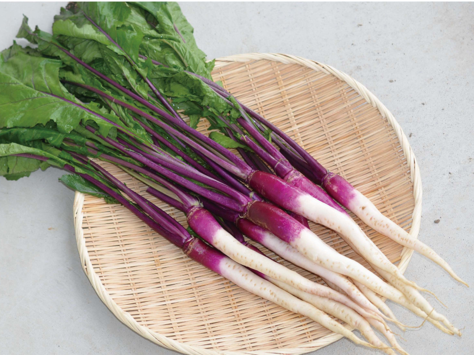 登録産品の画像