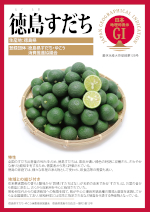 登録産品のパネルサムのネイル