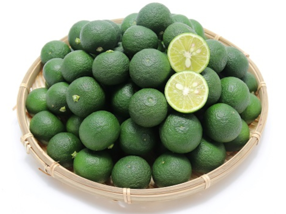 登録産品の画像