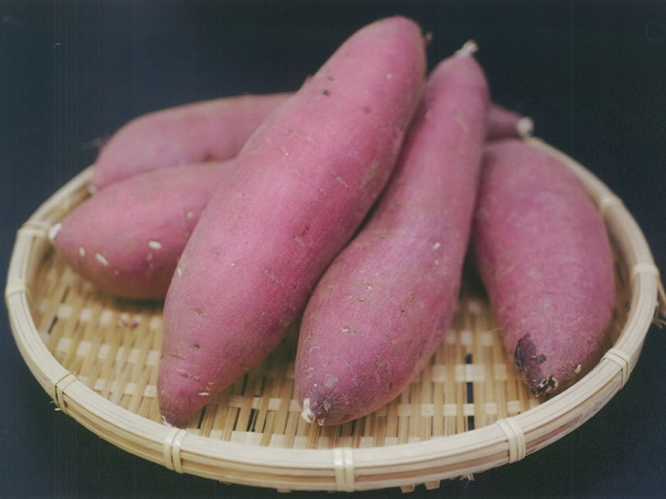 登録産品の画像