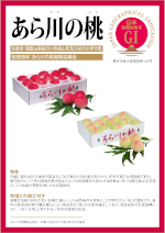 登録産品のパネルサムのネイル