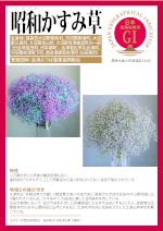 登録産品パネルのサムネイル