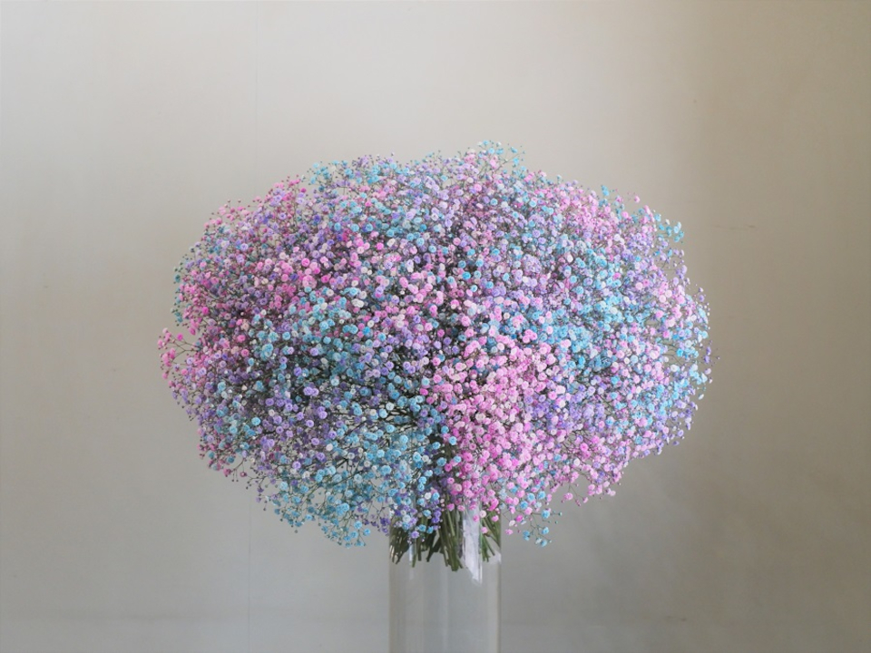 登録産品の画像