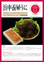 登録産品のパネルサムのネイル